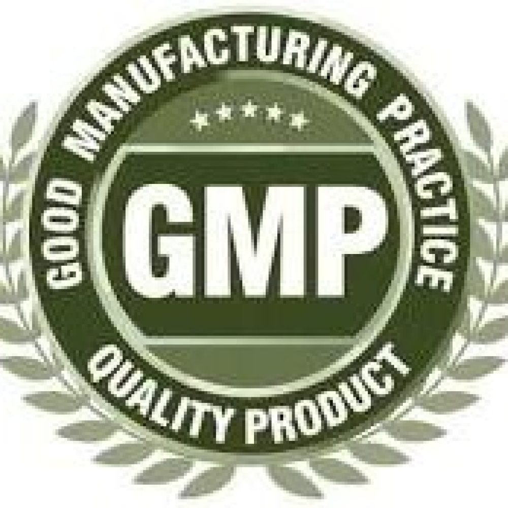 GMP LOGO